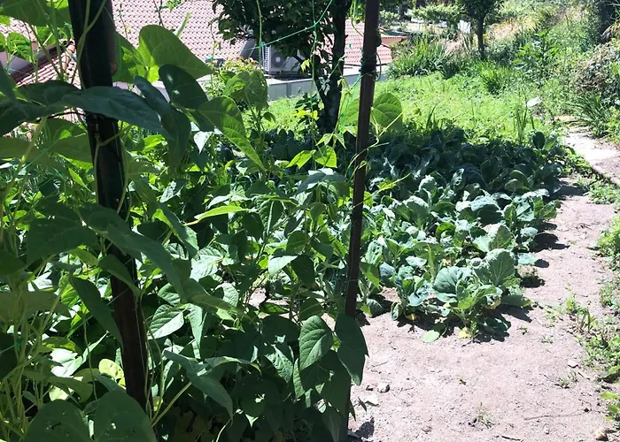 Burra Velha - Private House Vakantiehuis