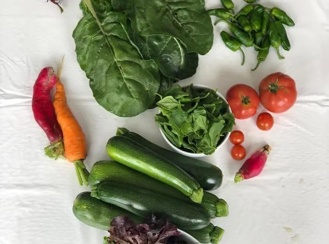 Burra Velha - Private House Vakantiehuis